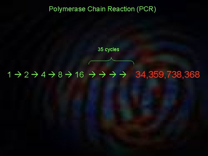 Polymerase Chain Reaction (PCR) 35 cycles 1 2 4 8 16 34, 359, 738,