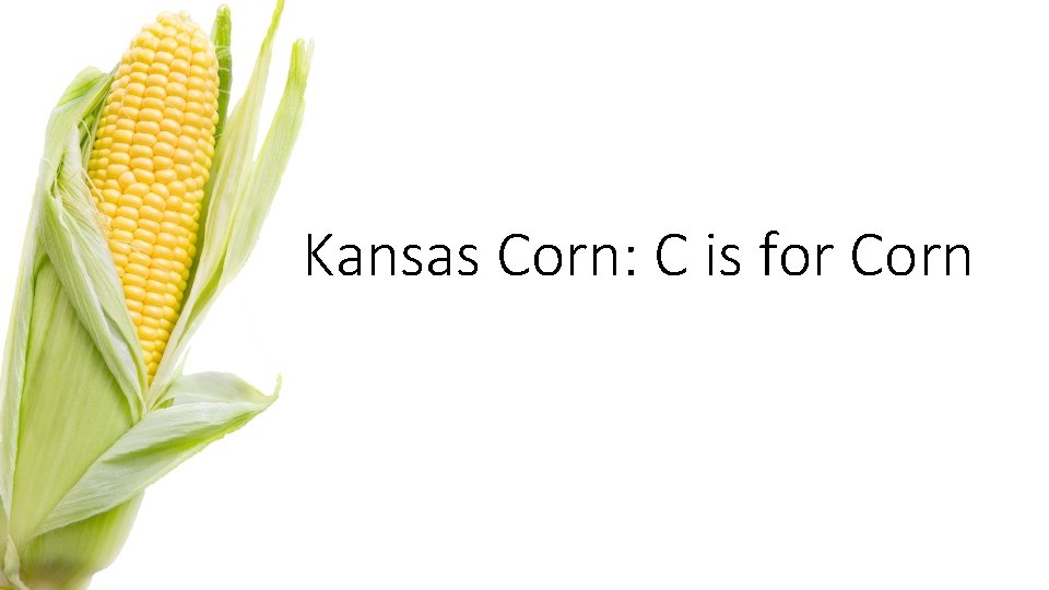 Kansas Corn: C is for Corn 