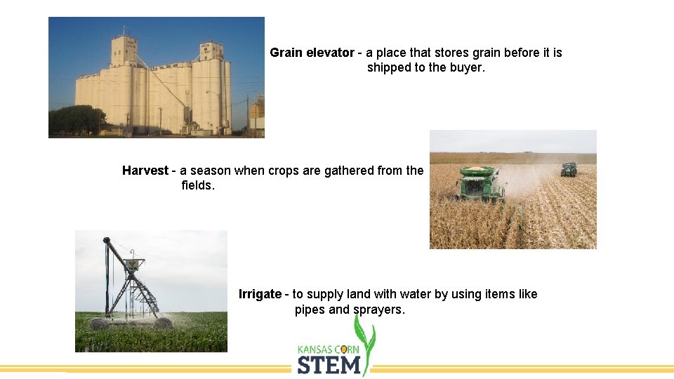 Grain elevator - a place that stores grain before it is shipped to the