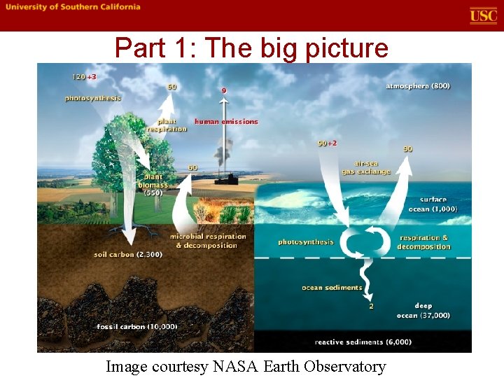 Part 1: The big picture Image courtesy NASA Earth Observatory 