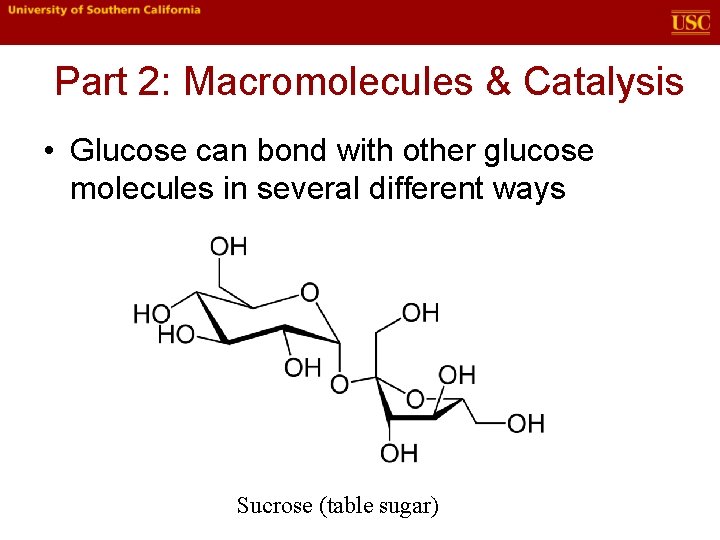 Part 2: Macromolecules & Catalysis • Glucose can bond with other glucose molecules in Part 2: Macromolecules & Catalysis • Glucose can bond with other glucose molecules in