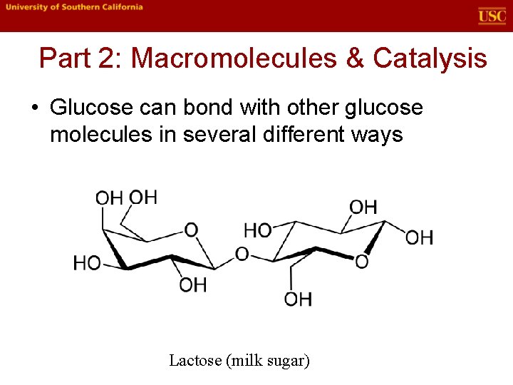 Part 2: Macromolecules & Catalysis • Glucose can bond with other glucose molecules in