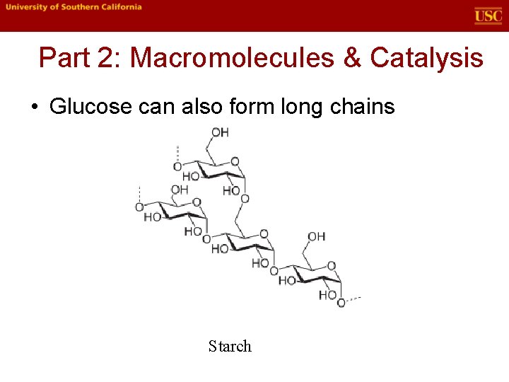 Part 2: Macromolecules & Catalysis • Glucose can also form long chains Starch 