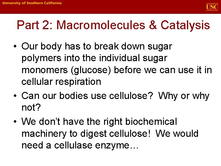 Part 2: Macromolecules & Catalysis • Our body has to break down sugar polymers Part 2: Macromolecules & Catalysis • Our body has to break down sugar polymers