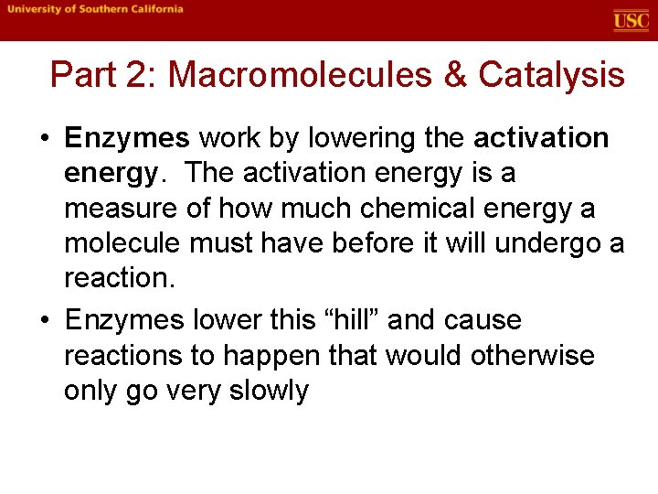 Part 2: Macromolecules & Catalysis • Enzymes work by lowering the activation energy. The