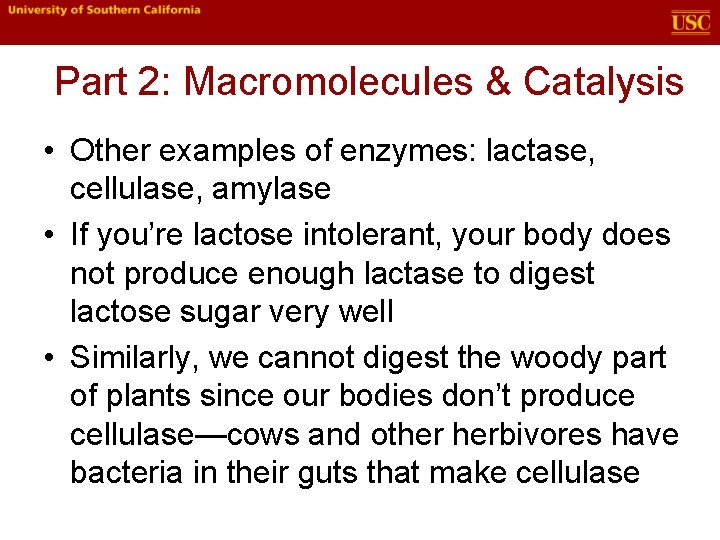 Part 2: Macromolecules & Catalysis • Other examples of enzymes: lactase, cellulase, amylase •