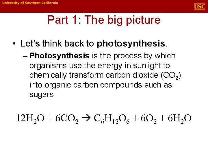 Part 1: The big picture • Let’s think back to photosynthesis. – Photosynthesis is Part 1: The big picture • Let’s think back to photosynthesis. – Photosynthesis is