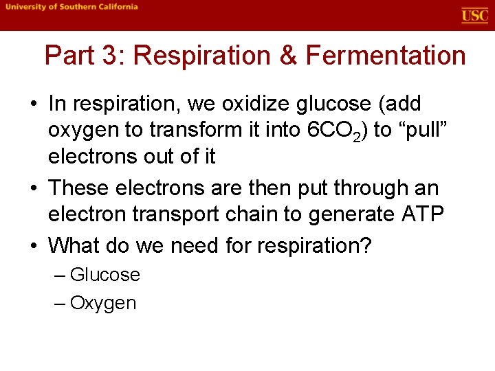 Part 3: Respiration & Fermentation • In respiration, we oxidize glucose (add oxygen to