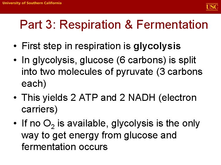 Part 3: Respiration & Fermentation • First step in respiration is glycolysis • In