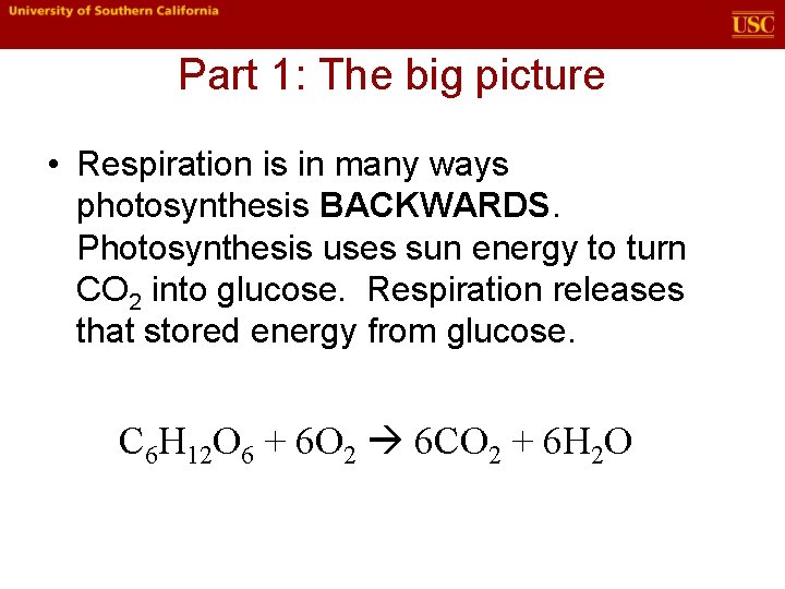 Part 1: The big picture • Respiration is in many ways photosynthesis BACKWARDS. Photosynthesis Part 1: The big picture • Respiration is in many ways photosynthesis BACKWARDS. Photosynthesis