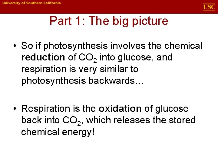 Part 1: The big picture • So if photosynthesis involves the chemical reduction of