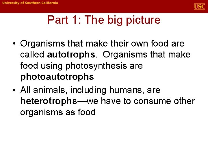 Part 1: The big picture • Organisms that make their own food are called