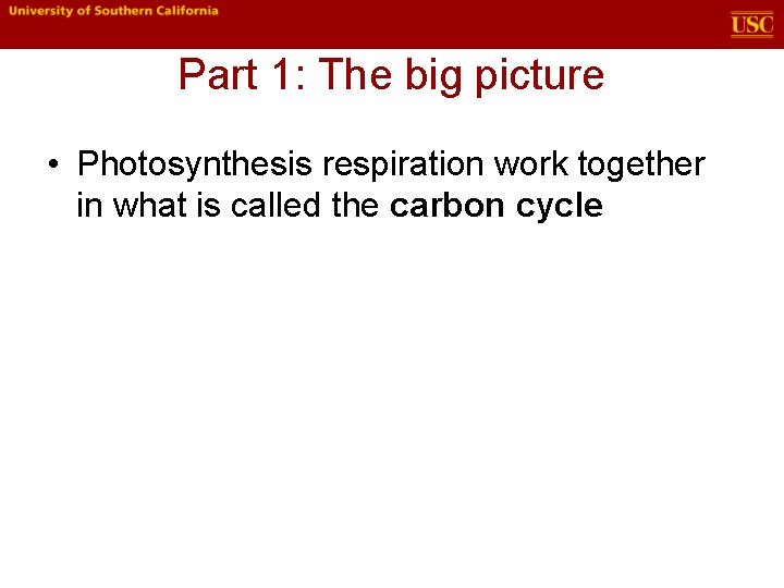 Part 1: The big picture • Photosynthesis respiration work together in what is called