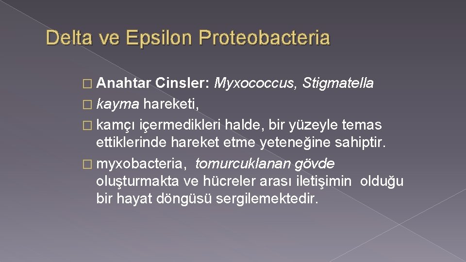 Delta ve Epsilon Proteobacteria � Anahtar Cinsler: Myxococcus, Stigmatella � kayma hareketi, � kamçı