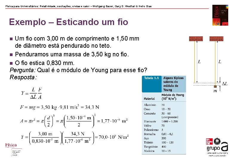 Física para Universitários: Relatividade, oscilações, ondas e calor – Wolfgang Bauer, Gary D. Westfall