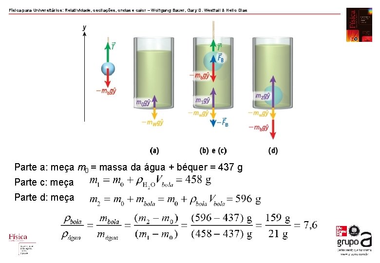 Física para Universitários: Relatividade, oscilações, ondas e calor – Wolfgang Bauer, Gary D. Westfall