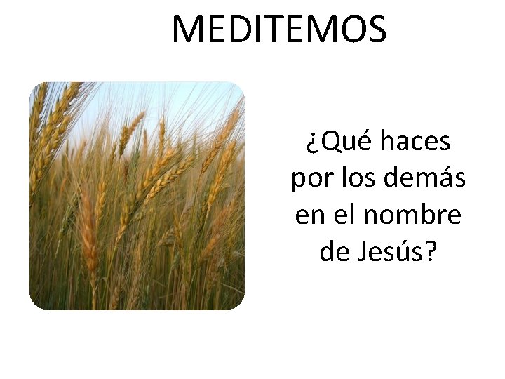 MEDITEMOS ¿Qué haces por los demás en el nombre de Jesús? 