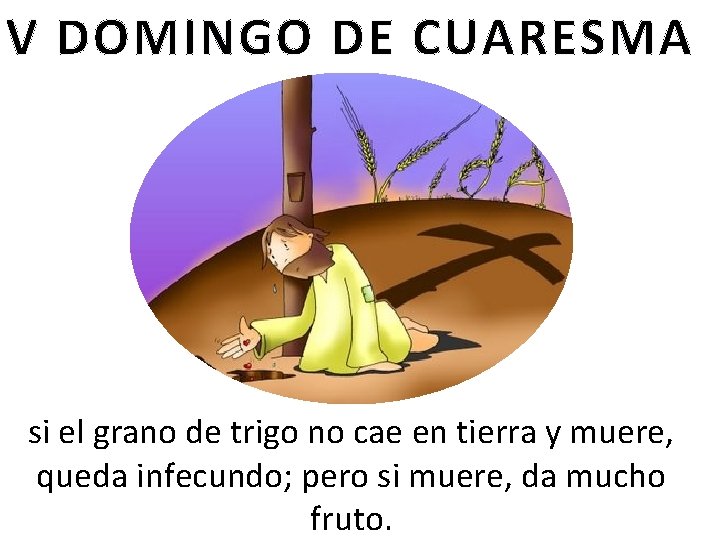 V DOMINGO DE CUARESMA si el grano de trigo no cae en tierra y