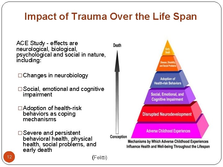 Impact of Trauma Over the Life Span ACE Study - effects are neurological, biological,