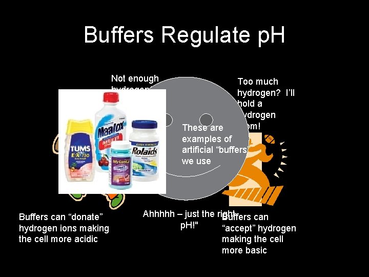 Buffers Regulate p. H Not enough hydrogen? Here’s another H atom! Buffers can “donate”