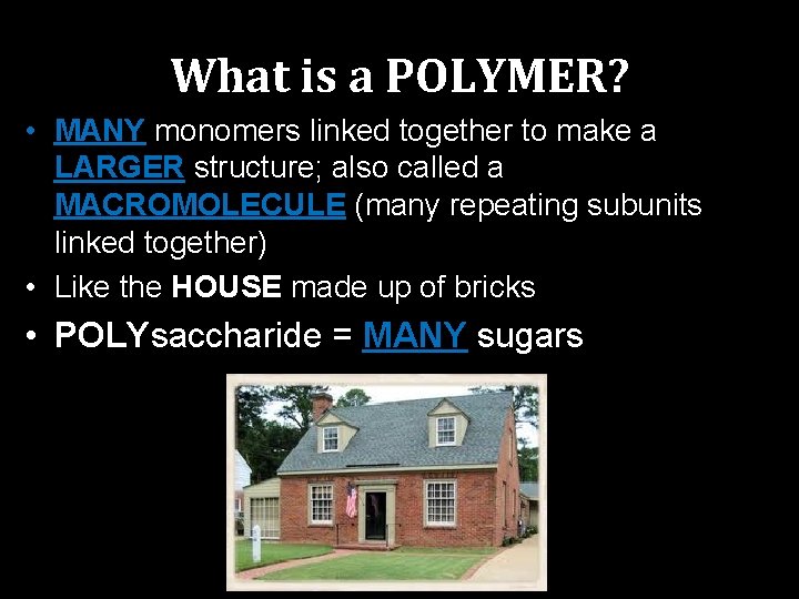 What is a POLYMER? • MANY monomers linked together to make a LARGER structure;