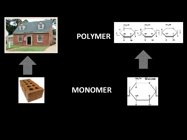 POLYMER MONOMER 