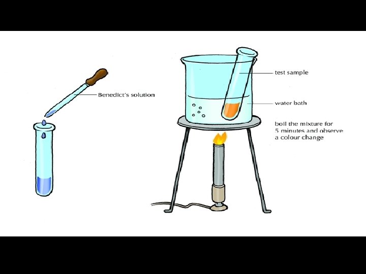 SIMPLE Carbohydrate Test – Benedict’s Solution Add to samples and heat. If sugar is