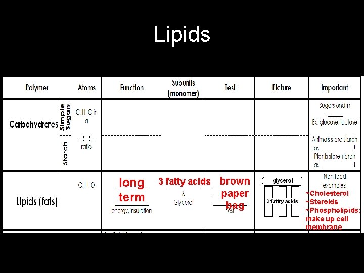 Lipids long 3 fatty acids brown paper term bag ~Cholesterol ~Steroids ~Phospholipids: make up