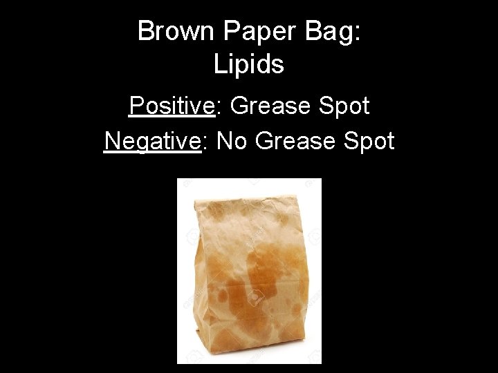 Brown Paper Bag: Lipids Positive: Grease Spot Negative: No Grease Spot 