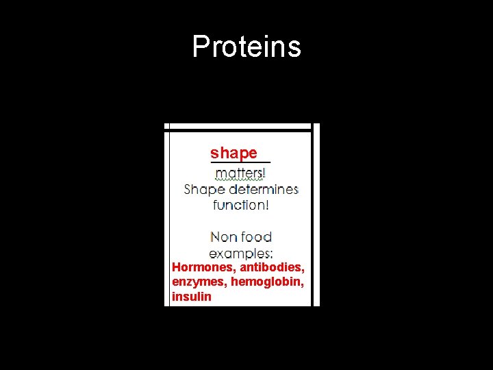 Proteins shape Hormones, antibodies, enzymes, hemoglobin, insulin 