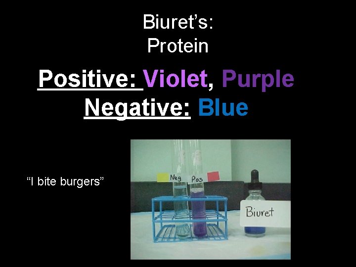 Biuret’s: Protein Positive: Violet, Purple Negative: Blue “I bite burgers” 