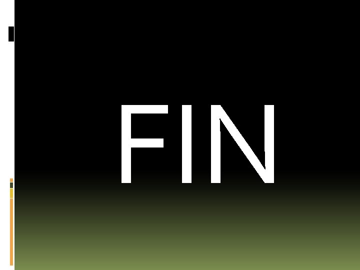 FIN 