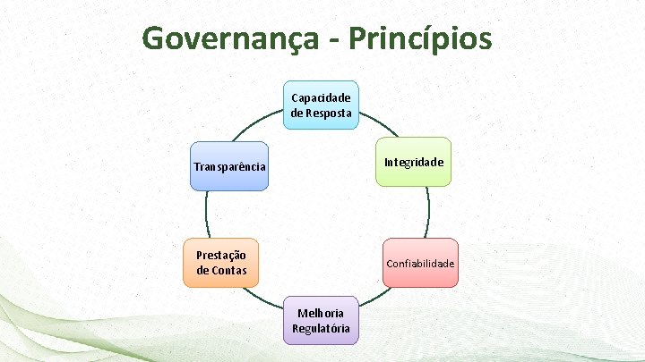 Governança - Princípios Capacidade de Resposta Transparência Integridade Prestação de Contas Confiabilidade Melhoria Regulatória