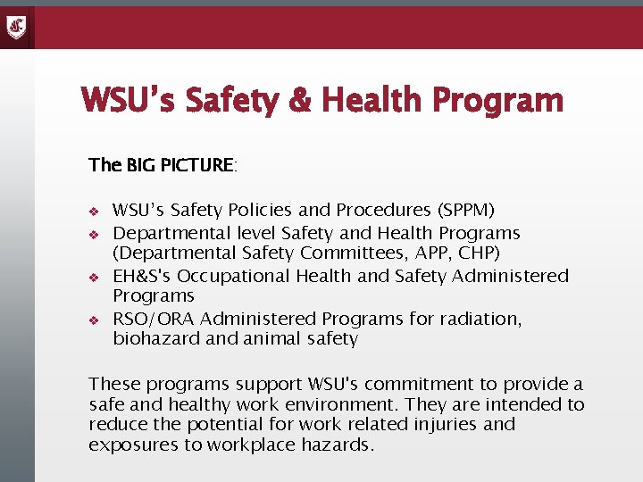WSU’s Safety & Health Program The BIG PICTURE: v v WSU’s Safety Policies and