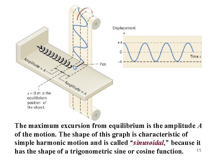 The maximum excursion from equilibrium is the amplitude A of the motion. The shape