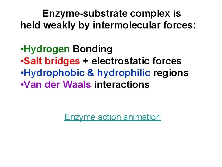 Enzyme-substrate complex is held weakly by intermolecular forces: • Hydrogen Bonding • Salt bridges