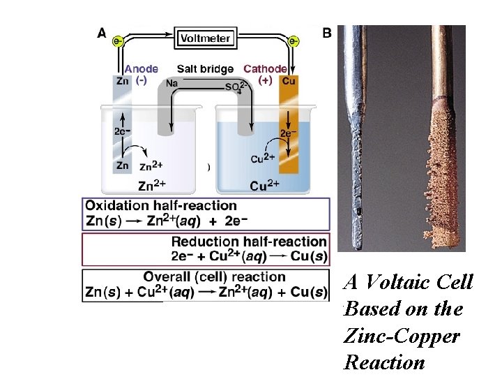 A Voltaic Cell Based on the Zinc-Copper Reaction 