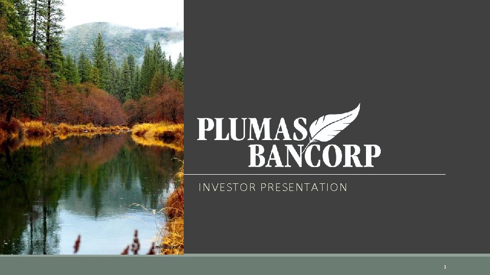 INVESTOR PRESENTATION 1 