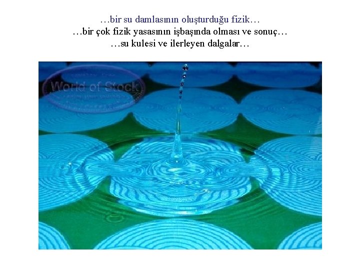 …bir su damlasının oluşturduğu fizik… …bir çok fizik yasasının işbaşında olması ve sonuç… …su
