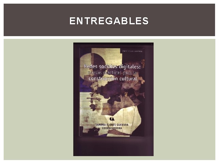 ENTREGABLES 