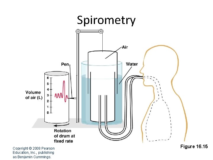 Spirometry Copyright © 2008 Pearson Education, Inc. , publishing as Benjamin Cummings. Figure 16.
