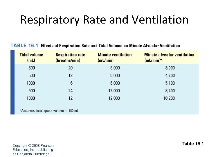 Respiratory Rate and Ventilation Copyright © 2008 Pearson Education, Inc. , publishing as Benjamin