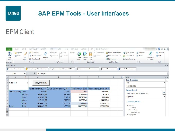 SAP EPM Tools - User Interfaces 