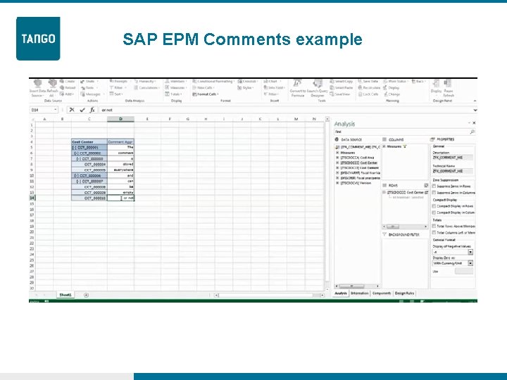 SAP EPM Comments example 