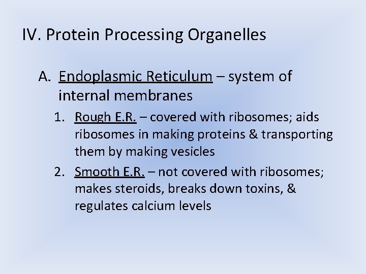 IV. Protein Processing Organelles A. Endoplasmic Reticulum – system of internal membranes 1. Rough