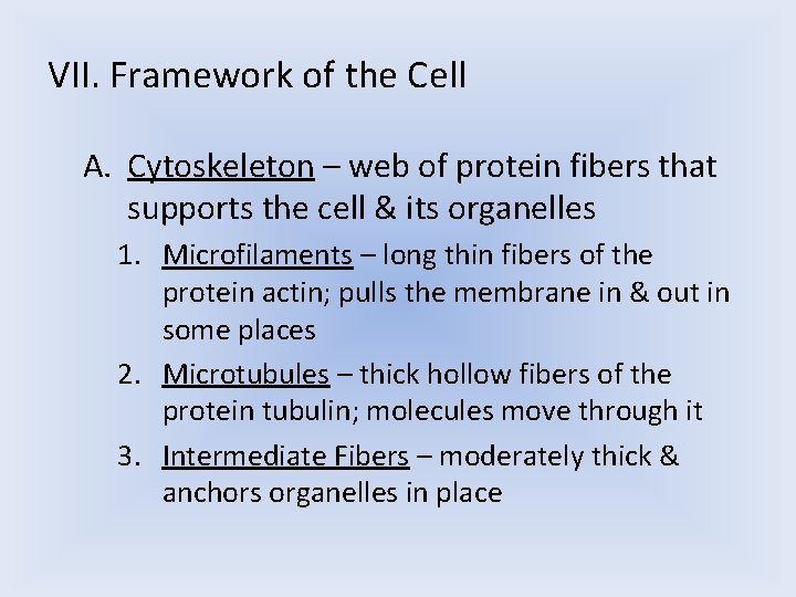 VII. Framework of the Cell A. Cytoskeleton – web of protein fibers that supports