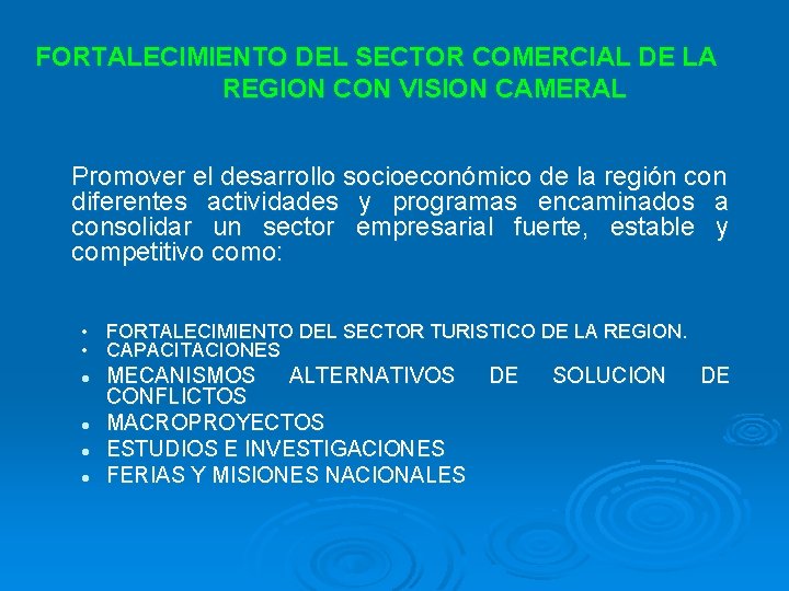 FORTALECIMIENTO DEL SECTOR COMERCIAL DE LA REGION CON VISION CAMERAL Promover el desarrollo socioeconómico