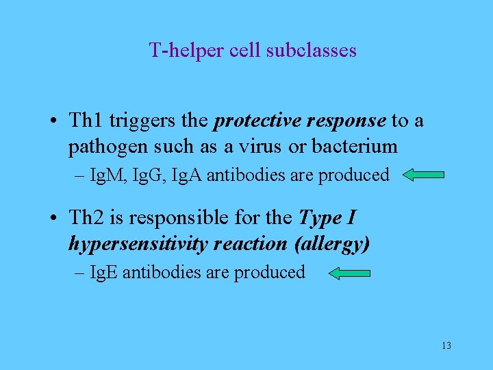 T-helper cell subclasses • Th 1 triggers the protective response to a pathogen such
