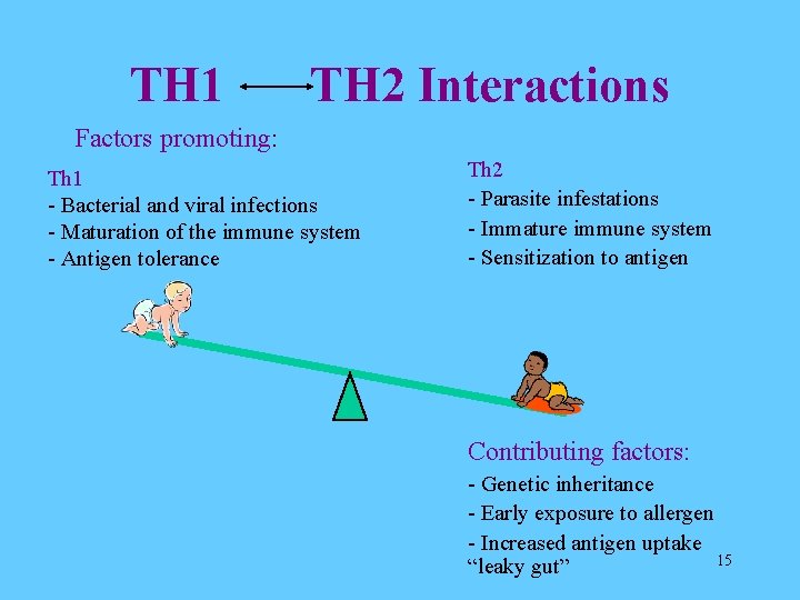 TH 1 TH 2 Interactions Factors promoting: Th 1 - Bacterial and viral infections