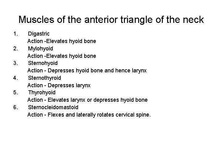 Muscles of the anterior triangle of the neck 1. 2. 3. 4. 5. 6.